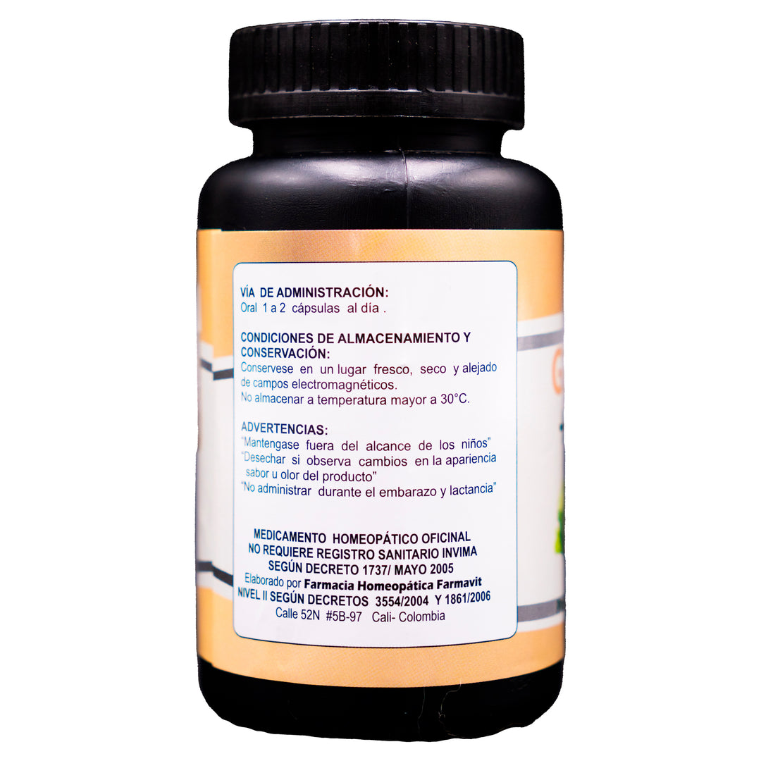 GINSENG + GINKGO X90CAP FARMAVIT
