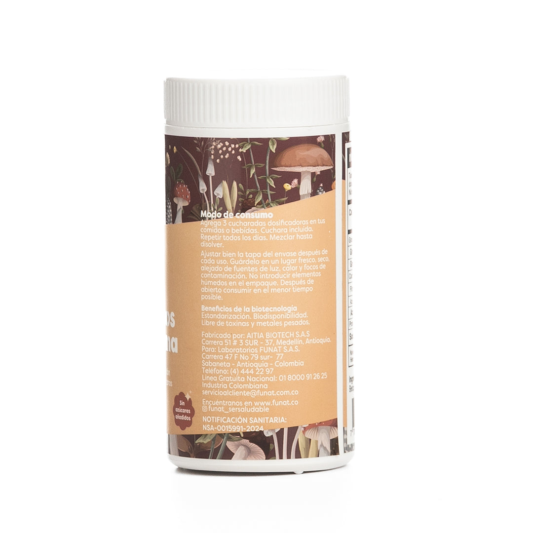 REISHI HONGO POLVO X 60G